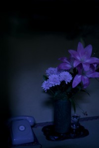 http://www.peterwaterschoot.com/files/gimgs/th-13_th-18_3C972dpi.jpg