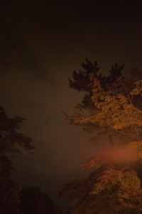 http://www.peterwaterschoot.com/files/gimgs/th-13_trees.jpg