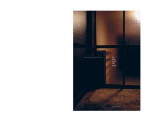 http://www.peterwaterschoot.com:443/files/gimgs/th-10_peter-waterschoot_at-the-skin-of-time_1.jpg