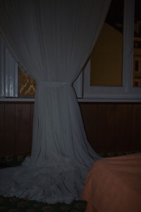 http://www.peterwaterschoot.com:443/files/gimgs/th-13_66.jpg